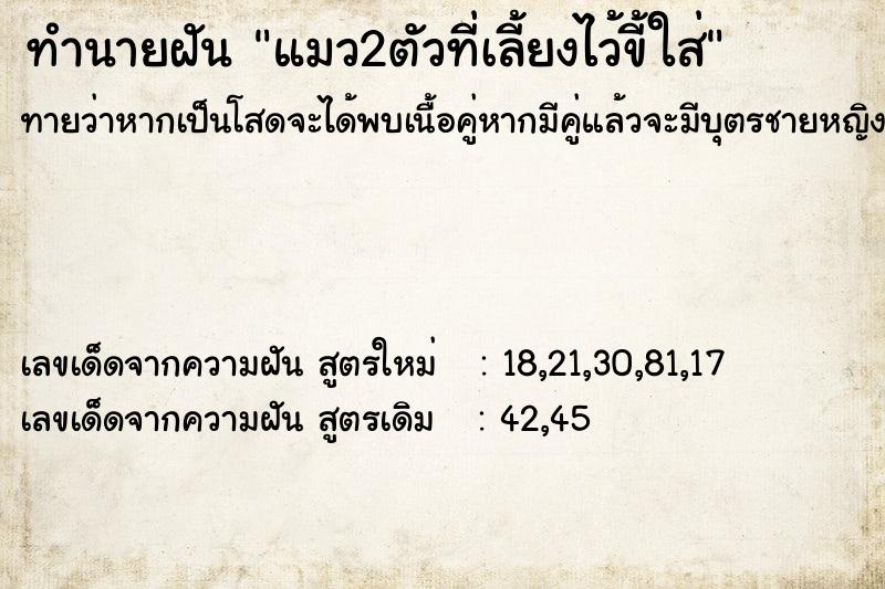 ทำนายฝันทำนายฝันแมว2ตัวที่เลี้ยงไว้ขี้ใส่