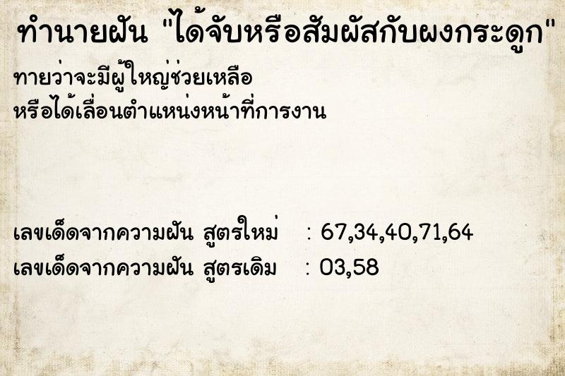 ทำนายฝันทำนายฝันได้จับหรือสัมผัสกับผงกระดูก