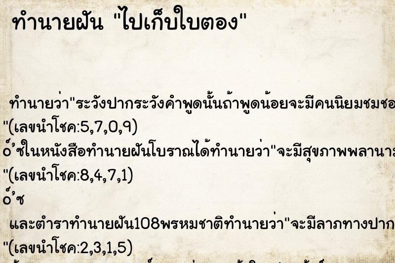 ทำนายฝัน ไปเก็บใบตอง ทำนายฝัน ไปเก็บใบตอง