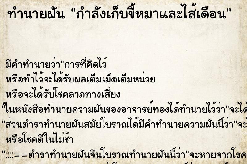 ทำนายฝันกำลังเก็บขี้หมาและไส้เดือน ทำนายฝันทำนายฝันกำลังเก็บขี้หมาและไส้เดือน