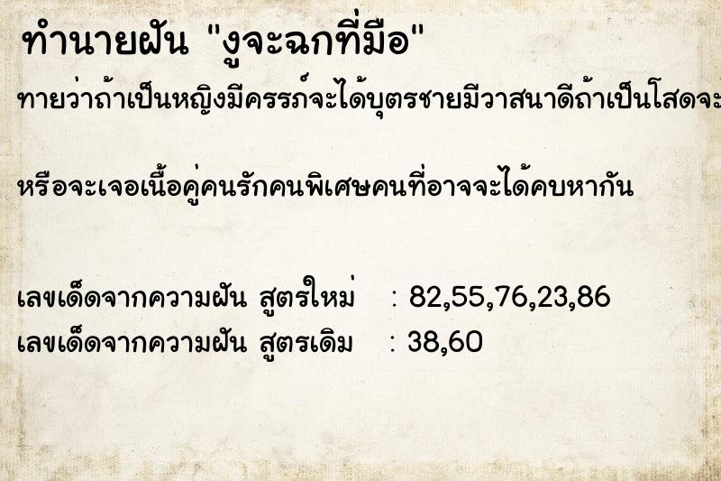 ทำนายฝันงูจะฉกที่มือ ทำนายฝันทำนายฝันงูจะฉกที่มือ