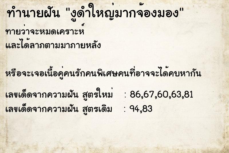 ทำนายฝันงูดำใหญ่มากจ้องมอง ทำนายฝันทำนายฝันงูดำใหญ่มากจ้องมอง