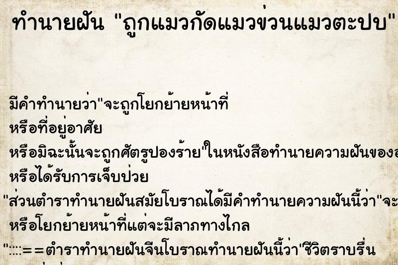 ทำนายฝันถูกแมวกัดแมวข่วนแมวตะปบ ทำนายฝันทำนายฝันถูกแมวกัดแมวข่วนแมวตะปบ