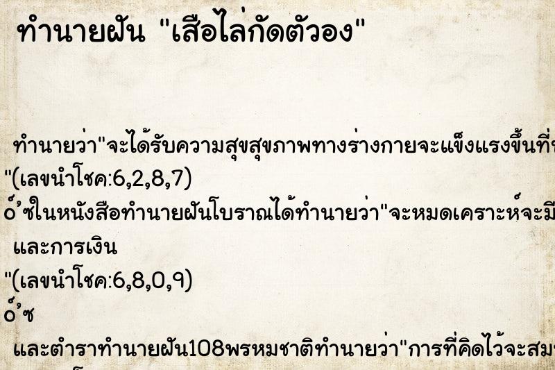 ทำนายฝัน เสือไล่กัดตัวอง ทำนายฝัน เสือไล่กัดตัวอง
