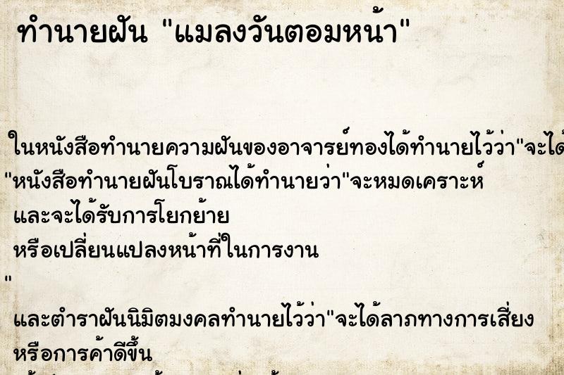 ทำนายฝัน แมลงวันตอมหน้า ทำนายฝัน แมลงวันตอมหน้า