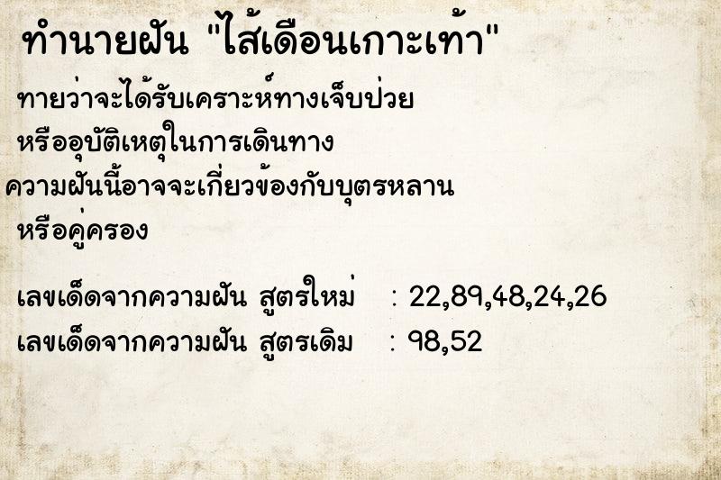 ทำนายฝัน ไส้เดือนเกาะเท้า