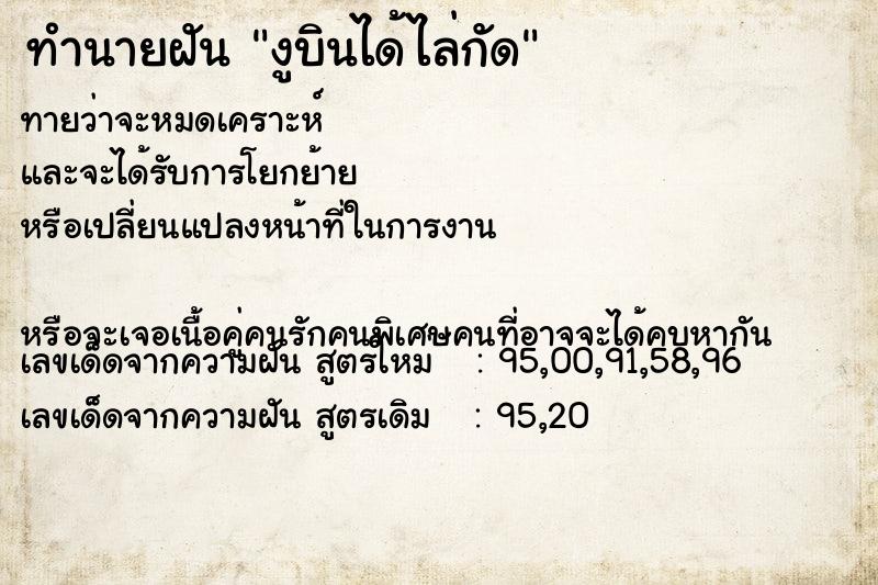 ทำนายฝันงูบินได้ไล่กัด ทำนายฝันทำนายฝันงูบินได้ไล่กัด