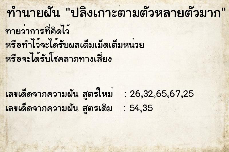 ทำนายฝันทำนายฝันปลิงเกาะตามตัวหลายตัวมาก
