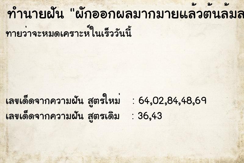 ทำนายฝันผักออกผลมากมายแล้วต้นล้มลง ทำนายฝันทำนายฝันผักออกผลมากมายแล้วต้นล้มลง