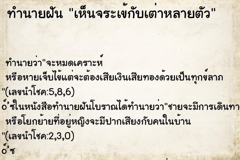 ทำนายฝันทำนายฝันเห็นจระเข้กับเต่าหลายตัว