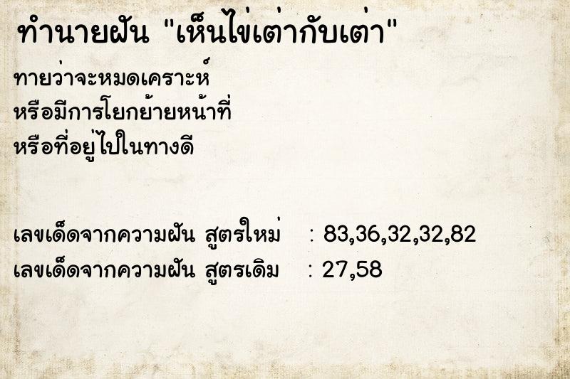 ทำนายฝันเห็นไข่เต่ากับเต่า ทำนายฝันทำนายฝันเห็นไข่เต่ากับเต่า