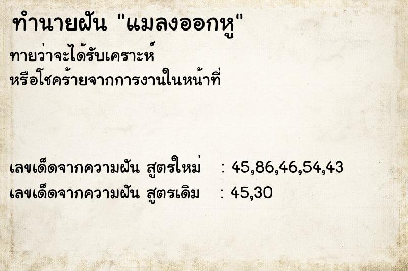 ทำนายฝันแมลงออกหู ทำนายฝันทำนายฝันแมลงออกหู