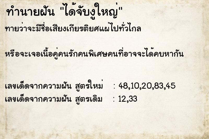 ทำนายฝันได้จับงูใหญ่ ทำนายฝันทำนายฝันได้จับงูใหญ่