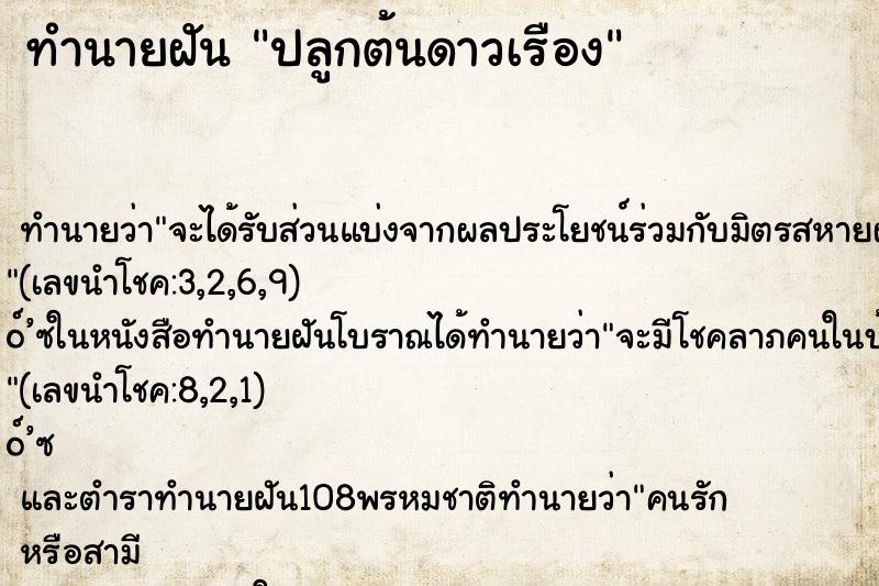 ทำนายฝัน ปลูกต้นดาวเรือง ทำนายฝัน ปลูกต้นดาวเรือง