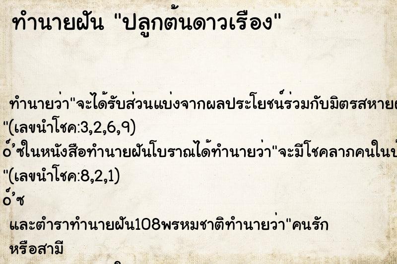 ทำนายฝัน ปลูกต้นดาวเรือง ตำราโบราณ แม่นที่สุดในโลก