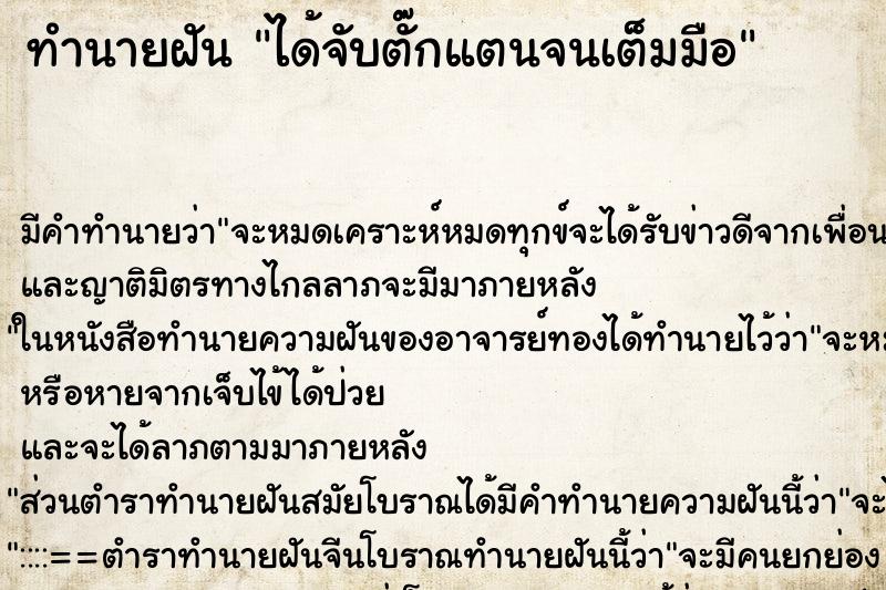 ทำนายฝันได้จับตั๊กแตนจนเต็มมือ ทำนายฝันทำนายฝันได้จับตั๊กแตนจนเต็มมือ