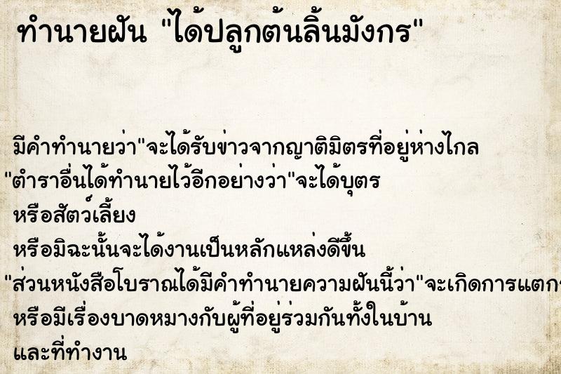 ทำนายฝัน ได้ปลูกต้นลิ้นมังกร ทำนายฝัน ได้ปลูกต้นลิ้นมังกร