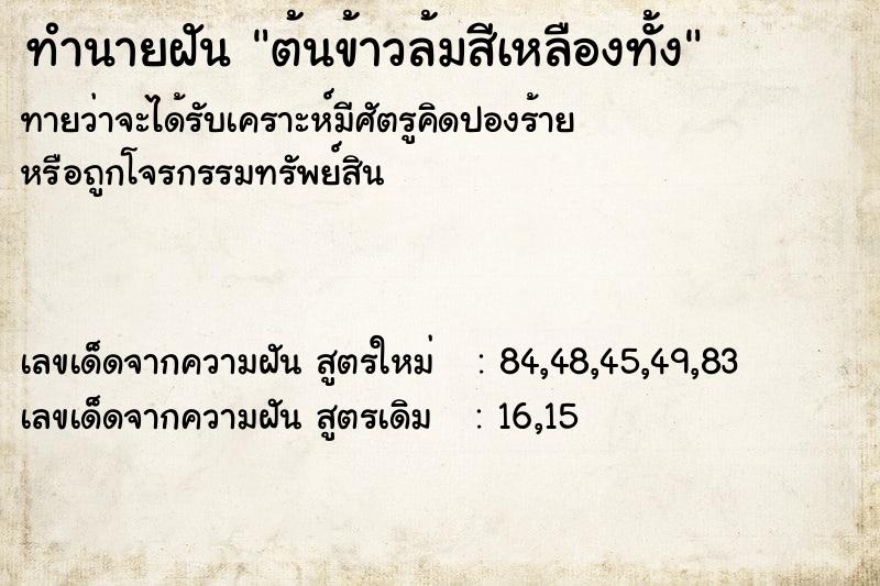 ทำนายฝันทำนายฝันต้นข้าวล้มสีเหลืองทั้ง