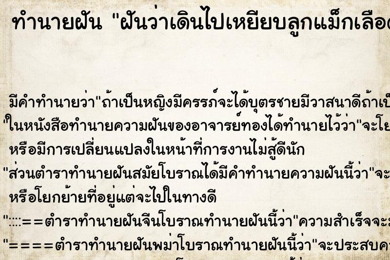 ทำนายฝัน ฝันว่าเดินไปเหยียบลูกแม็กเลือดออกเยอะมาก ทำนายฝัน ฝันว่าเดินไปเหยียบลูกแม็กเลือดออกเยอะมาก