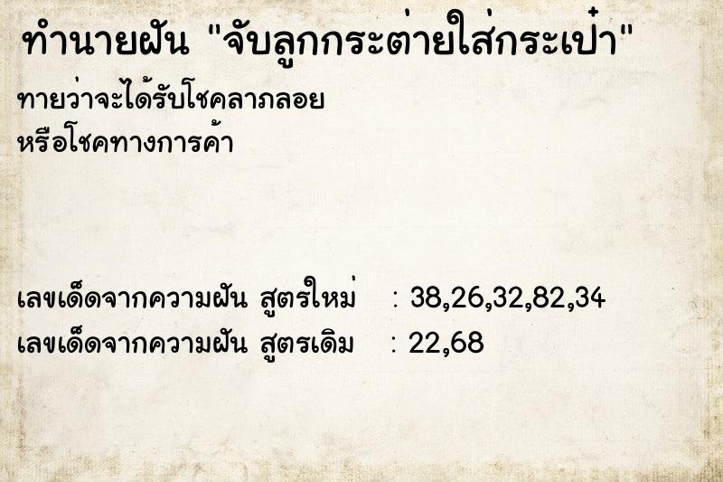 ทำนายฝันทำนายฝันจับลูกกระต่ายใส่กระเป๋า