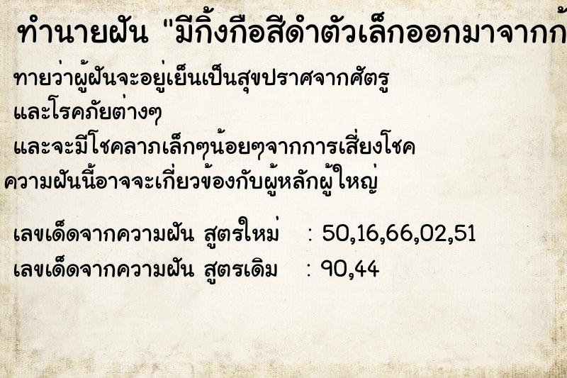 ทำนายฝันมีกิ้งกือสีดำตัวเล็กออกมาจากก้นลูกสาว ทำนายฝันทำนายฝันมีกิ้งกือสีดำตัวเล็กออกมาจากก้นลูกสาว