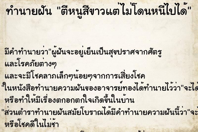 ทำนายฝัน ตีหนูสีขาวแต่ไม่โดนหนีไปได้ ทำนายฝัน ตีหนูสีขาวแต่ไม่โดนหนีไปได้