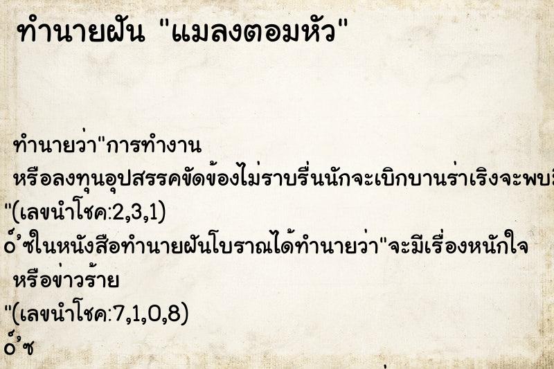 ทำนายฝัน แมลงตอมหัว