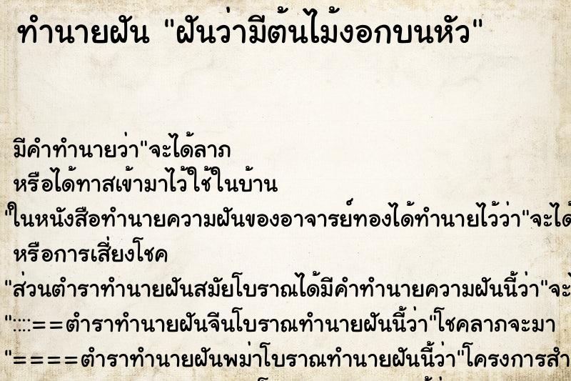 ทำนายฝัน ฝันว่ามีต้นไม้งอกบนหัว ทำนายฝัน ฝันว่ามีต้นไม้งอกบนหัว