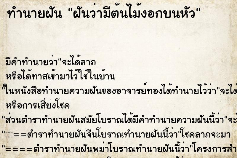 ทำนายฝัน ฝันว่ามีต้นไม้งอกบนหัว ตำราโบราณ แม่นที่สุดในโลก