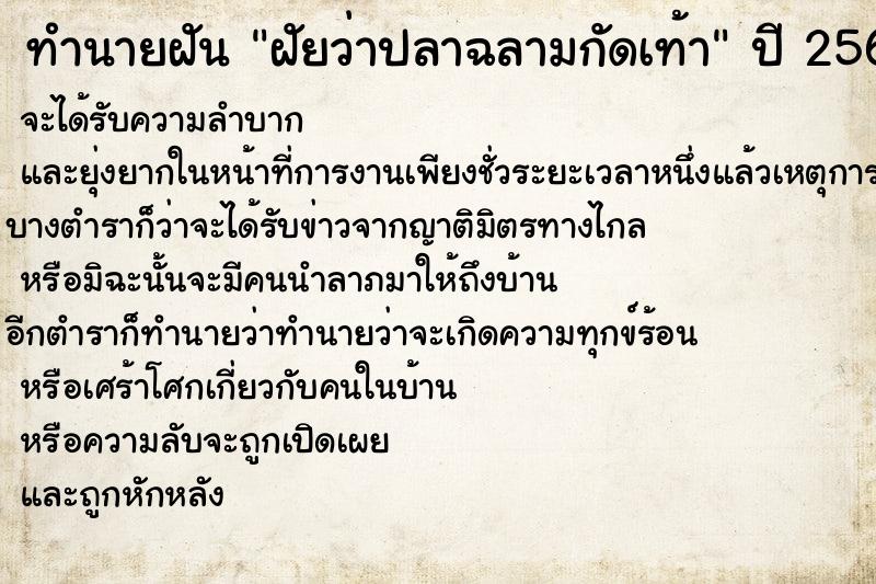 ทำนายฝันฝัยว่าปลาฉลามกัดเท้า ทำนายฝันทำนายฝันฝัยว่าปลาฉลามกัดเท้า