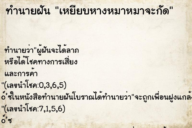 ทำนายฝัน เหยียบหางหมาหมาจะกัด ทำนายฝัน เหยียบหางหมาหมาจะกัด