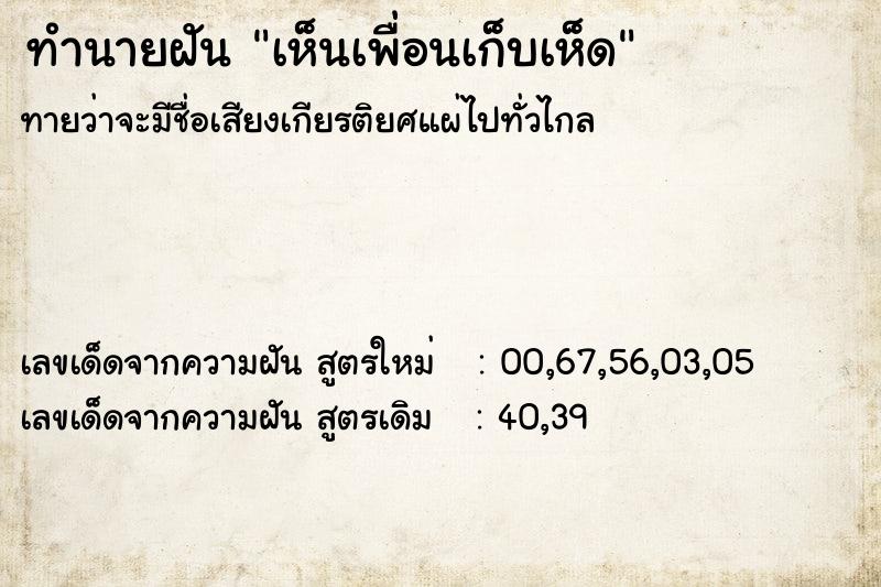 ทำนายฝันทำนายฝันเห็นเพื่อนเก็บเห็ด