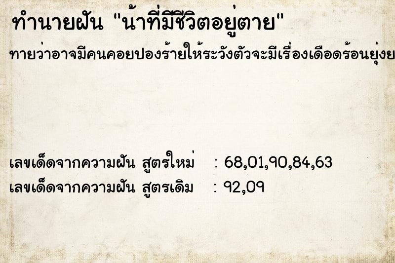 ทำนายฝันทำนายฝันน้าที่มีชีวิตอยู่ตาย