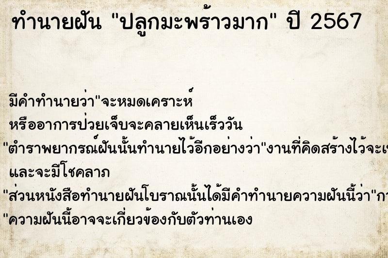 ทำนายฝัน ปลูกมะพร้าวมาก ทำนายฝัน ปลูกมะพร้าวมาก