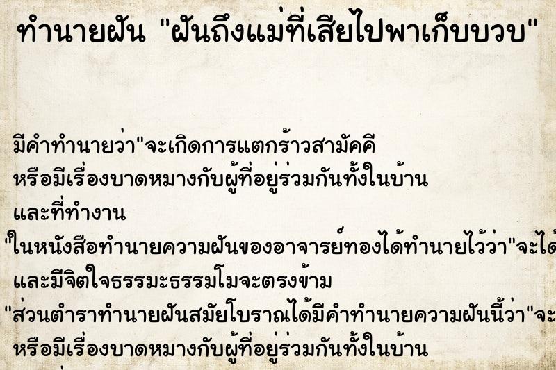 ทำนายฝันฝันถึงแม่ที่เสียไปพาเก็บบวบ ทำนายฝันทำนายฝันฝันถึงแม่ที่เสียไปพาเก็บบวบ