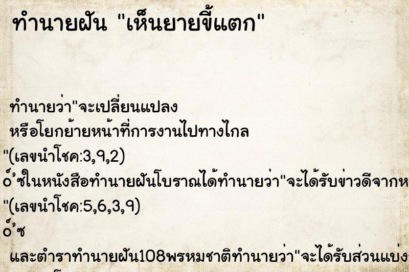 ทำนายฝัน เห็นยายขี้แตก ทำนายฝัน เห็นยายขี้แตก