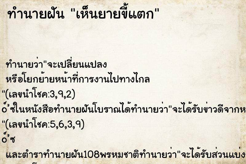 ทำนายฝัน เห็นยายขี้แตก ตำราโบราณ แม่นที่สุดในโลก