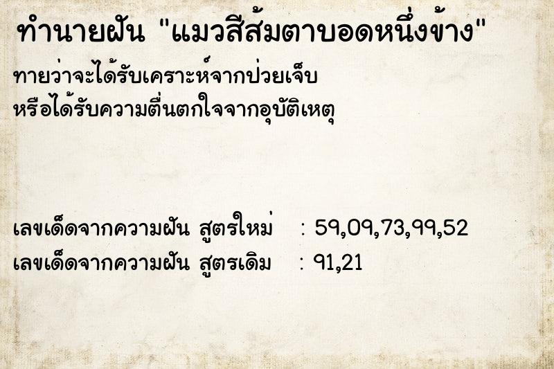 ทำนายฝันแมวสีส้มตาบอดหนึ่งข้าง ทำนายฝันทำนายฝันแมวสีส้มตาบอดหนึ่งข้าง