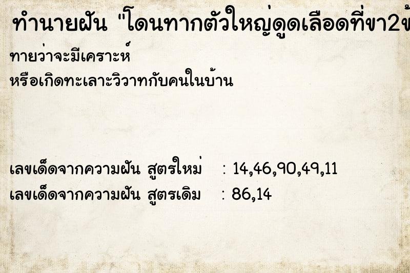 ทำนายฝันทำนายฝันโดนทากตัวใหญ่ดูดเลือดที่ขา2ข้าง