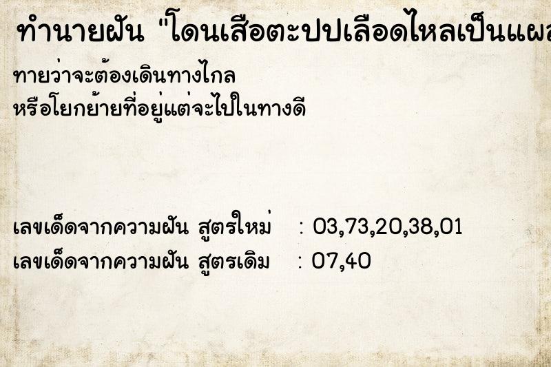 ทำนายฝันทำนายฝันโดนเสือตะปปเลือดไหลเป็นแผล