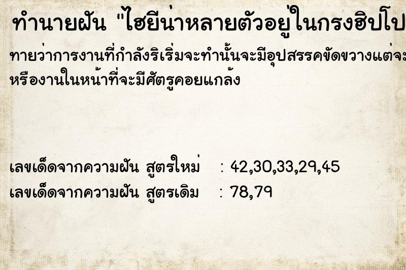 ทำนายฝันทำนายฝันไฮยีน่าหลายตัวอยู่ในกรงฮิปโปสองตัว