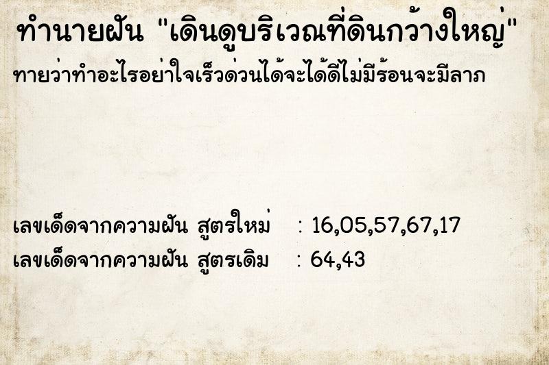ทำนายฝันทำนายฝันเดินดูบริเวณที่ดินกว้างใหญ่