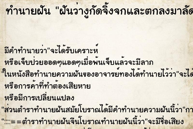 ทำนายฝันฝันว่างูกัดจิ้งจกและตกลงมาลัดขา ทำนายฝันทำนายฝันฝันว่างูกัดจิ้งจกและตกลงมาลัดขา