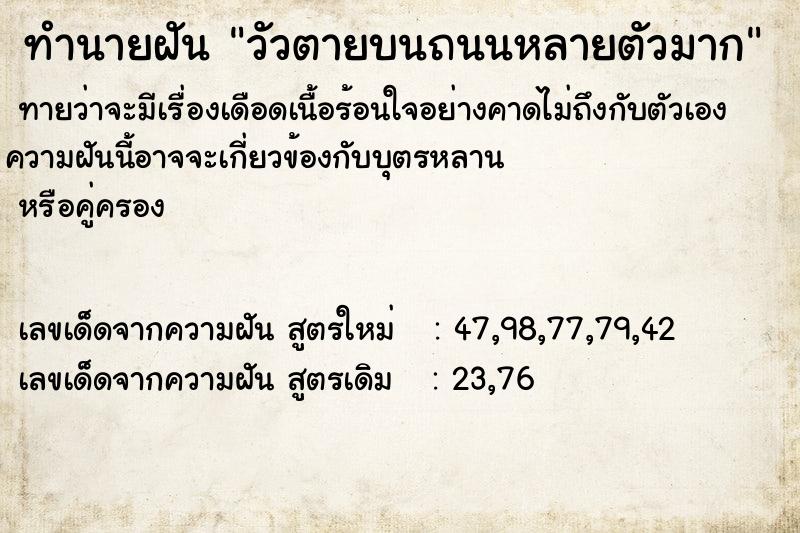 ทำนายฝันทำนายฝันวัวตายบนถนนหลายตัวมาก