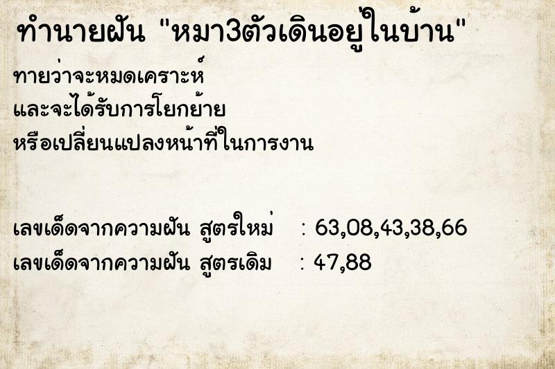 ทำนายฝันหมา3ตัวเดินอยู่ในบ้าน ทำนายฝันทำนายฝันหมา3ตัวเดินอยู่ในบ้าน