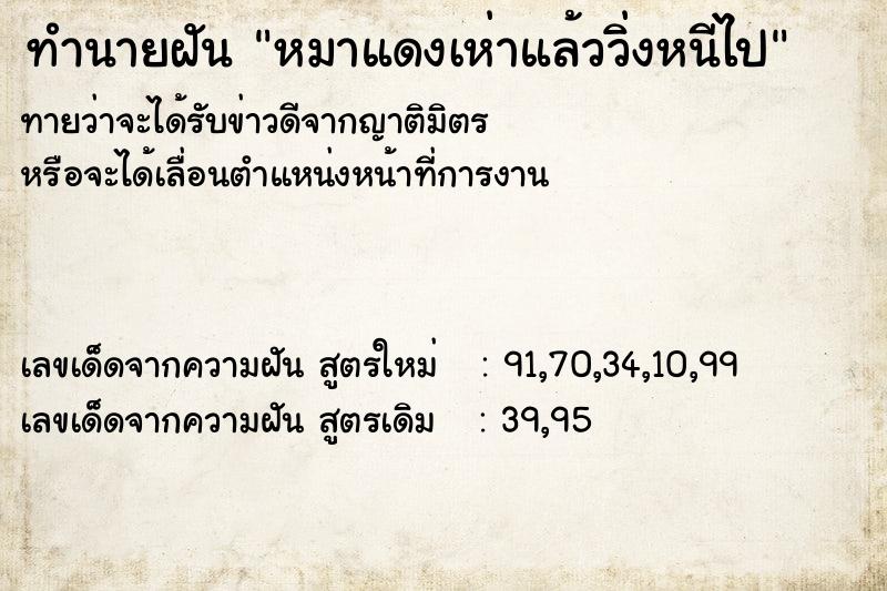 ทำนายฝันทำนายฝันหมาแดงเห่าแล้ววิ่งหนีไป