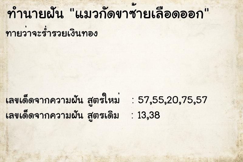 ทำนายฝันทำนายฝันแมวกัดขาซ้ายเลือดออก