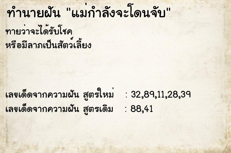 ทำนายฝันทำนายฝันแม่กำลังจะโดนจับ