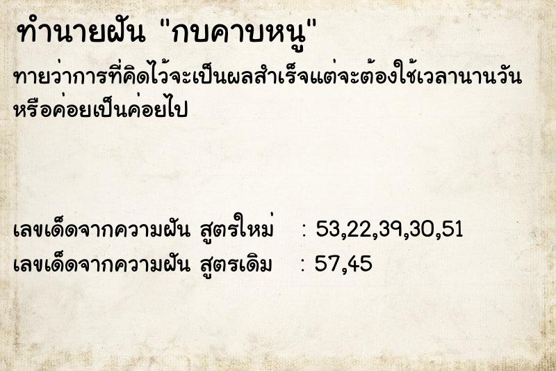 ทำนายฝัน กบคาบหนู ทำนายฝัน กบคาบหนู