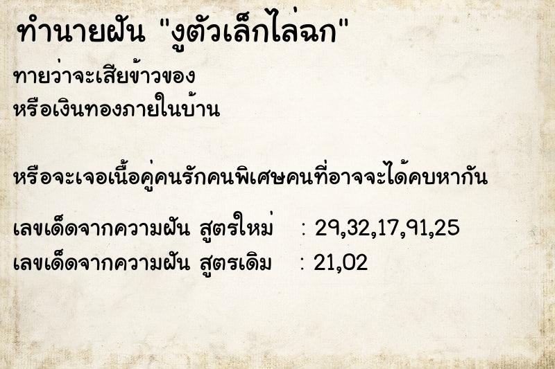 ทำนายฝันงูตัวเล็กไล่ฉก ทำนายฝันทำนายฝันงูตัวเล็กไล่ฉก